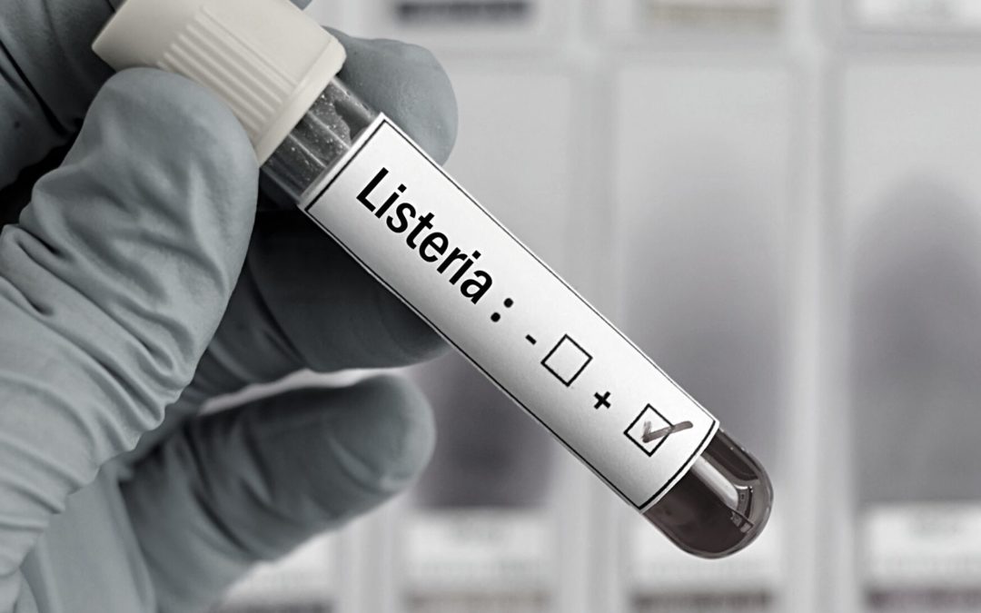 Fødevarestyrelsen advarer – vi har ikke set så mange udbrud med Listeria siden 2014