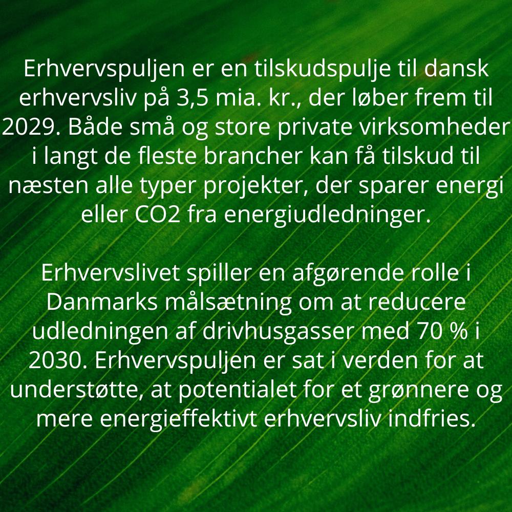 Ervhervspuljen 