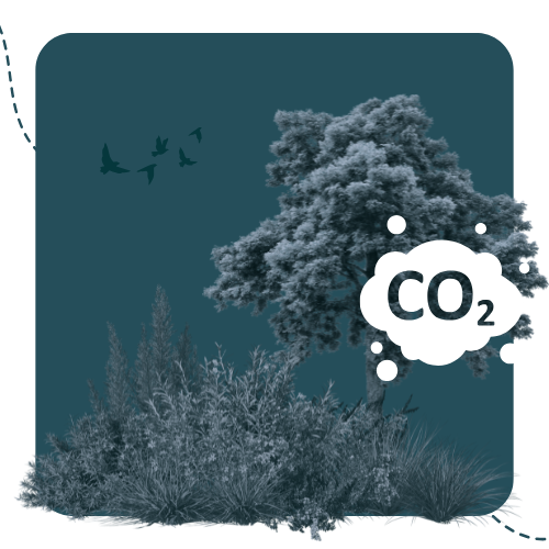 ESG_emner_web_illu (15) illustration af klimaaftryk