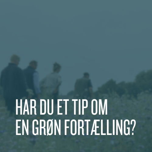 Samarbejdspartner logo (12) billede med teksten: har du et tip om en grøn fortælling?