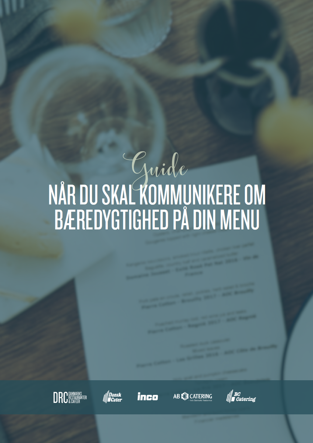 Forside billede af guiden