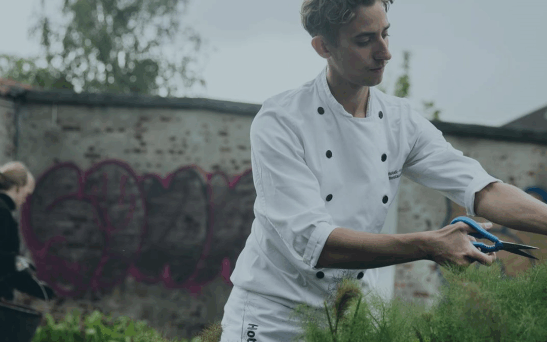 Hotel- og Restaurantskolen tilbyder en Green Chef-uddannelse