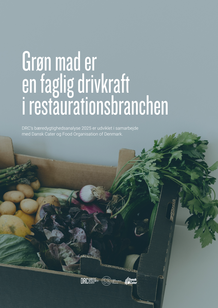 brugdenne Billede af analyse forside