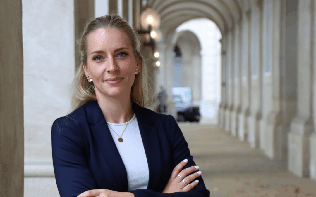 Sådan arbejder DRC politisk